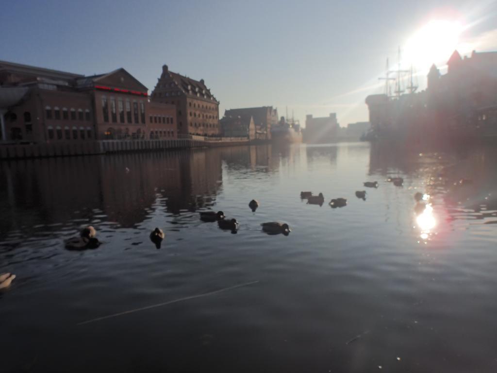 Apartament Nadmorski Gdansk 索波特 客房 照片